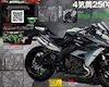 Kawasaki thổi hồn mới cho xe 250cc