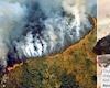 Cháy rừng Amazon: Kỳ vậy, cư dân mạng?