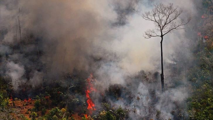 Chay rung Amazon kinh hoang den muc nao khi nhin tu Ban do AIRS 2