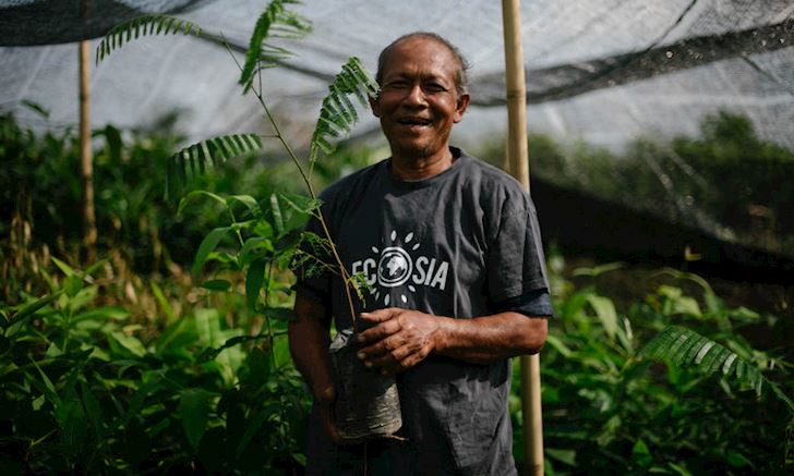 Ecosia: Góp sức mọn giúp trồng cây cứu rừng Amazon các bạn ơi
