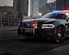6 cách cảnh sát Mỹ xử lý vi phạm đối với các tài xế