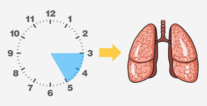 5 giờ độc tỉnh giấc giữa đêm chứng tỏ nội tạng đang ủ bệnh rất yếu: 1h là  Gan, 5h là Ruột già