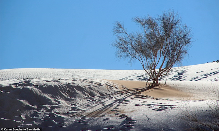 Tuyết bất ngờ rơi ở sa mạc Sahara