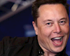Elon Musk tạm hoãn giao dịch mua lại Twitter, liệu có một cú "bùng hàng" lịch sử xảy ra?