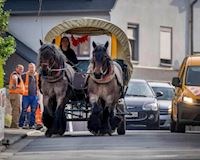 Nông dân Đức chuyển qua đi xe ngựa khi giá xăng tăng cao